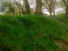 Llangower Walk & Bala Lake Railway