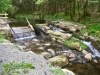 Llangower Walk & Bala Lake Railway