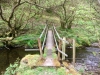 Llangower Walk & Bala Lake Railway