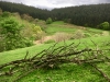 Llangower Walk & Bala Lake Railway