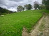 Llangower Walk & Bala Lake Railway