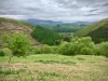 Llangower Walk & Bala Lake Railway