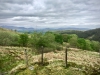 Llangower Walk & Bala Lake Railway