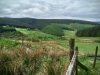 Llangower Walk & Bala Lake Railway