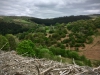 Llangower Walk & Bala Lake Railway