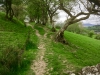 Llangower Walk & Bala Lake Railway