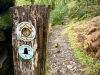 Aberglaslyn & Bedgellert, Gwynedd [07/10/2021]