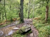 Aberglaslyn & Bedgellert, Gwynedd [07/10/2021]