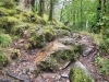 Aberglaslyn & Bedgellert, Gwynedd [07/10/2021]