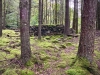 Aberglaslyn & Bedgellert, Gwynedd [07/10/2021]