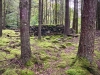 Aberglaslyn & Bedgellert, Gwynedd [07/10/2021]