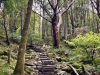 Aberglaslyn & Bedgellert, Gwynedd [07/10/2021]