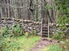 Aberglaslyn & Bedgellert, Gwynedd [07/10/2021]