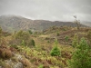 Aberglaslyn & Bedgellert, Gwynedd [07/10/2021]