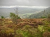 Aberglaslyn & Bedgellert, Gwynedd [07/10/2021]