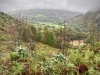 Aberglaslyn & Bedgellert, Gwynedd [07/10/2021]