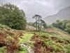 Aberglaslyn & Bedgellert, Gwynedd [07/10/2021]