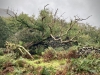 Aberglaslyn & Bedgellert, Gwynedd [07/10/2021]