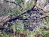 Aberglaslyn & Bedgellert, Gwynedd [07/10/2021]