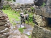 Aberglaslyn & Bedgellert, Gwynedd [07/10/2021]