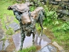 Aberglaslyn & Bedgellert, Gwynedd [07/10/2021]