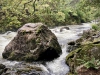 Aberglaslyn & Bedgellert, Gwynedd [07/10/2021]