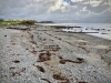 Criccieth, Llŷn Peninsula, Wales [05/10/2021]