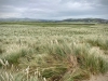 Porth Neigwl, Mawdach Mawr & Porthor, Llŷn Peninsula [08/10/2021]