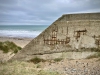 Porth Neigwl, Mawdach Mawr & Porthor, Llŷn Peninsula [08/10/2021]