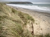 Porth Neigwl, Mawdach Mawr & Porthor, Llŷn Peninsula [08/10/2021]