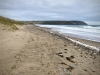 Porth Neigwl, Mawdach Mawr & Porthor, Llŷn Peninsula [08/10/2021]