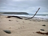 Porth Neigwl, Mawdach Mawr & Porthor, Llŷn Peninsula [08/10/2021]