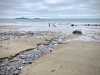 Porth Neigwl, Mawdach Mawr & Porthor, Llŷn Peninsula [08/10/2021]