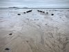 Porth Neigwl, Mawdach Mawr & Porthor, Llŷn Peninsula [08/10/2021]