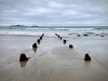 Porth Neigwl, Mawdach Mawr & Porthor, Llŷn Peninsula [08/10/2021]