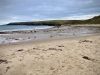 Porth Neigwl, Mawdach Mawr & Porthor, Llŷn Peninsula [08/10/2021]