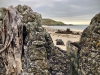 Porth Neigwl, Mawdach Mawr & Porthor, Llŷn Peninsula [08/10/2021]