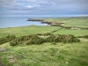 Porth Neigwl, Mawdach Mawr & Porthor, Llŷn Peninsula [08/10/2021]