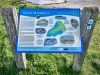 Sea Stacks, Morfa Nefyn & Porthdinllaen, Llŷn Peninsula, Wales [04/10/2021]