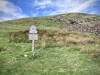 Sea Stacks, Morfa Nefyn & Porthdinllaen, Llŷn Peninsula, Wales [04/10/2021]