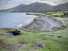 Sea Stacks, Morfa Nefyn & Porthdinllaen, Llŷn Peninsula, Wales [04/10/2021]