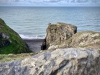 Sea Stacks, Morfa Nefyn & Porthdinllaen, Llŷn Peninsula, Wales [04/10/2021]