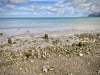 Sea Stacks, Morfa Nefyn & Porthdinllaen, Llŷn Peninsula, Wales [04/10/2021]