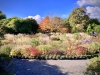 Bodnant Garden, Conwy [08/10/2022]