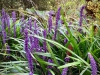 Bodnant Garden, Conwy [08/10/2022]