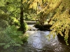 Bodnant Garden, Conwy [08/10/2022]