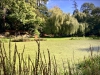 Bodnant Garden, Conwy [08/10/2022]