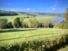 Bodnant Garden, Conwy [08/10/2022]