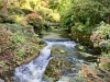 Bodnant Garden, Conwy [08/10/2022]