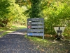 Coed y Brenin Forest [07/10/2022]